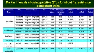 Identification of quantitative trait loci for resistance to shoot fly ...