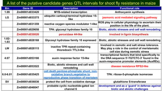 Identification of quantitative trait loci for resistance to shoot fly ...