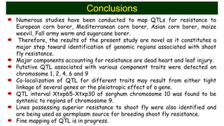 Identification of quantitative trait loci for resistance to shoot fly ...