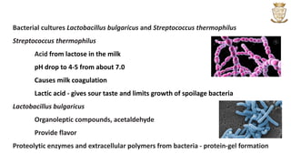 Bacterial cultures Lactobacillus bulgaricus and Streptococcus thermophilus
Streptococcus thermophilus
Acid from lactose in the milk
pH drop to 4-5 from about 7.0
Causes milk coagulation
Lactic acid - gives sour taste and limits growth of spoilage bacteria
Lactobacillus bulgaricus
Organoleptic compounds, acetaldehyde
Provide flavor
Proteolytic enzymes and extracellular polymers from bacteria - protein-gel formation
 