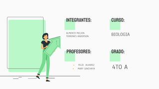 INTEGRANTES:
ALMERCO MELVIN
TERRONES ANDERSON
PROFESORES:
● FELIX ALVAREZ
● MARY JUNCHAYA
cURSO:
BIOLOGIA
GRADO:
4TO A
 