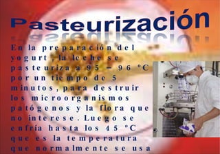 En la preparación del yogurt , la leche se pasteuriza a 95 – 96 ºC por un tiempo de 5 minutos, para destruir los microorganismos patógenos y la flora que no interese. Luego se enfría hasta los 45 ºC que es la temperatura que normalmente se usa en la incubación. 