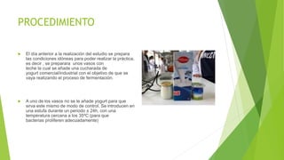 PROCEDIMIENTO
 El día anterior a la realización del estudio se prepara
las condiciones idóneas para poder realizar la práctica,
es decir , se preparara unos vasos con
leche la cual se añade una cucharada de
yogurt comercial/industrial con el objetivo de que se
vaya realizando el proceso de fermentación.
 A uno de los vasos no se le añade yogurt para que
sirva este mismo de modo de control. Se introducen en
una estufa durante un periodo ± 24h, con una
temperatura cercana a los 35ºC (para que
bacterias proliferen adecuadamente)
 