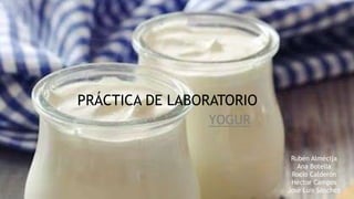 Práctica de Laboratorio
Yogur
PRÁCTICA DE LABORATORIO
YOGUR
Rubén Almécija
Ana Botella
Rocío Calderón
Héctor Campos
José Luis Sánchez
 