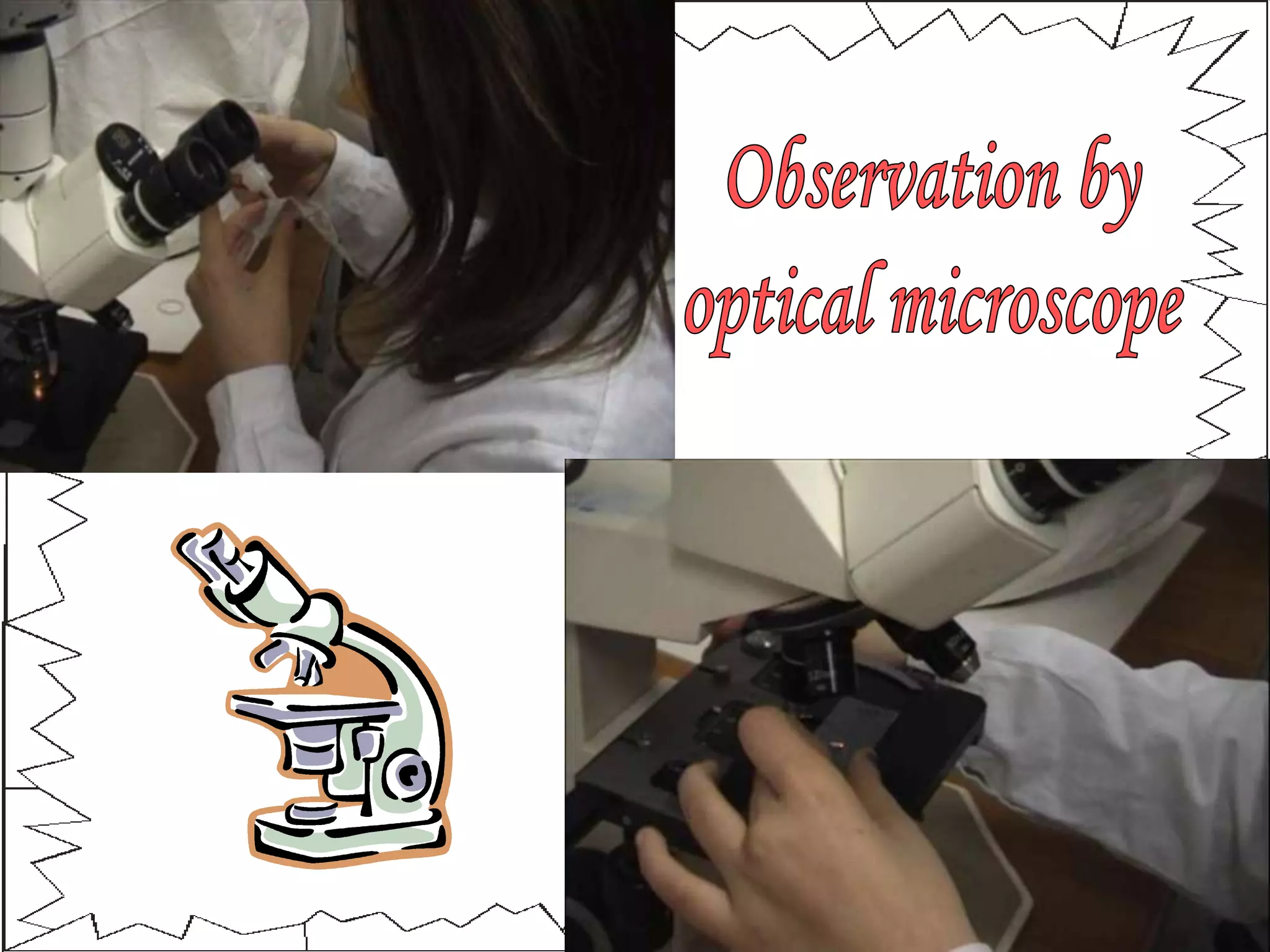 Observation by optical microscope 