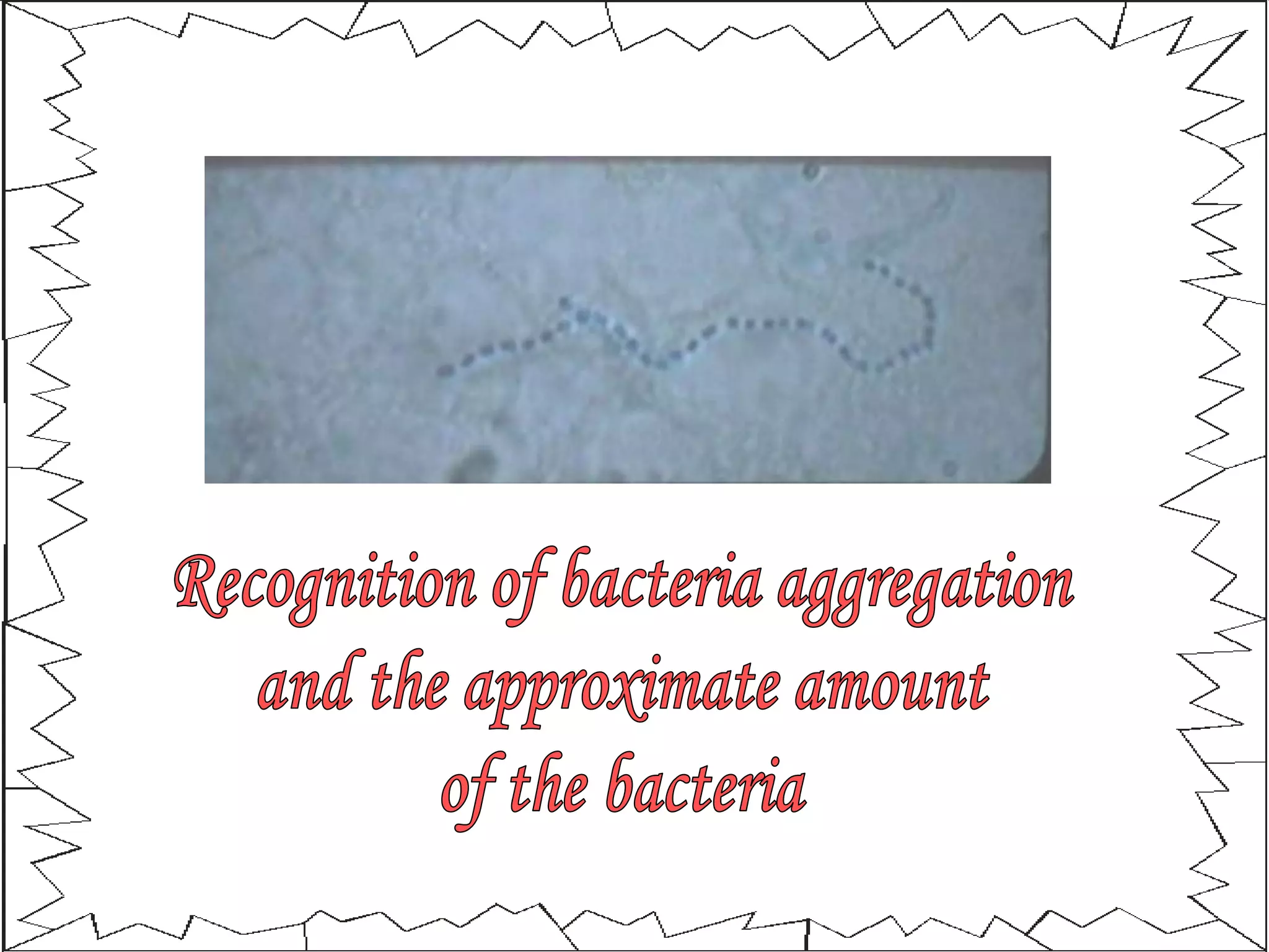 Recognition of bacteria aggregation and the approximate amount of the bacteria