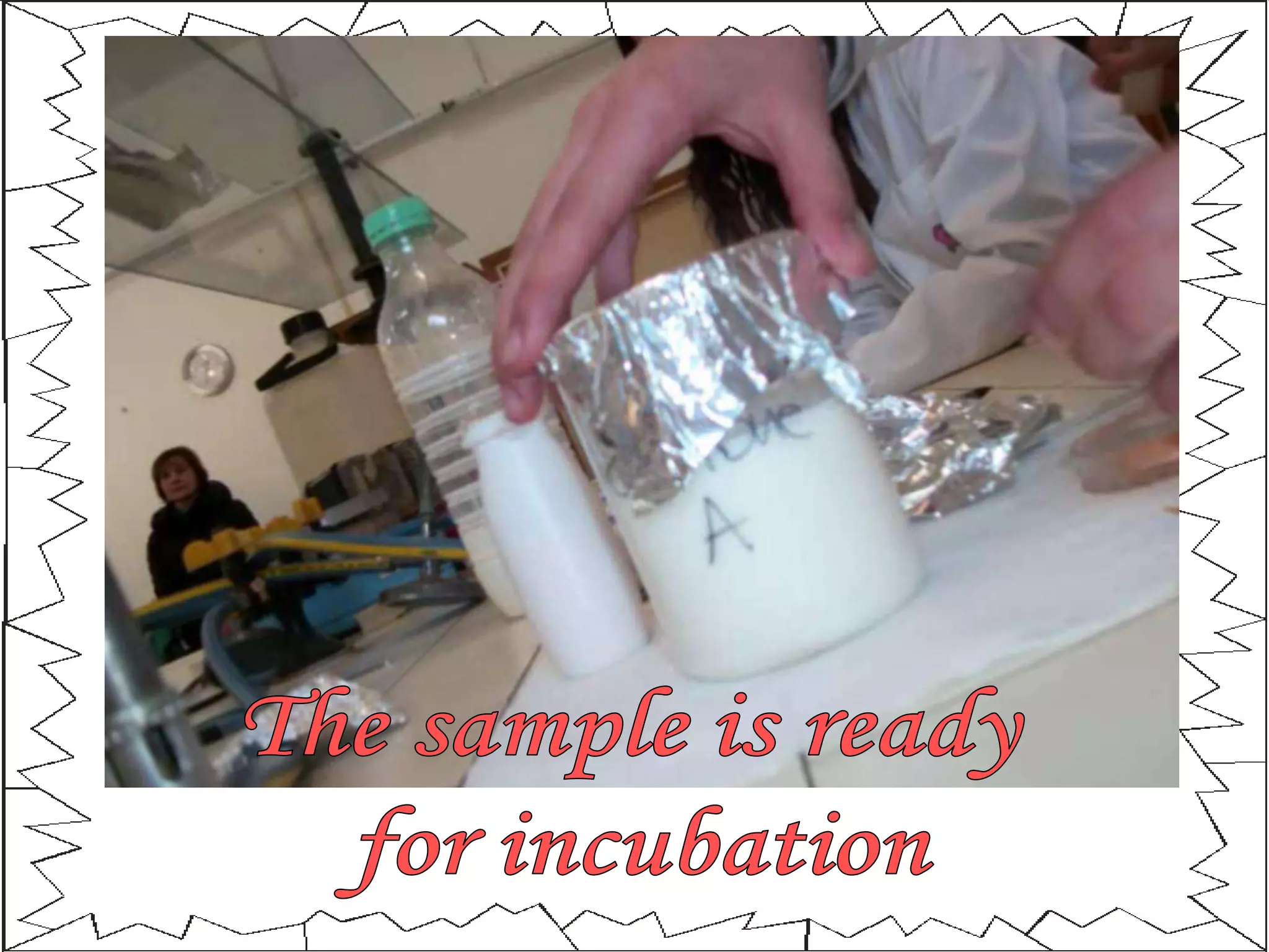 The sample is ready for incubation