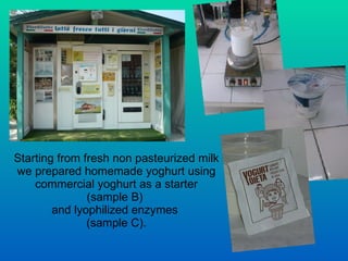Protocooperaton Yogurt Yogurt ppt | PPS