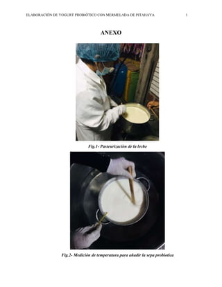 ELABORACIÓN DE YOGURT PROBIÓTICO CON MERMELADA DE PITAHAYA 1
ANEXO
Fig.1- Pasteurización de la leche
Fig.2- Medición de temperatura para añadir la sepa probiotica
 