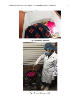 ELABORACIÓN DE YOGURT PROBIÓTICO CON MERMELADA DE PITAHAYA 2
Fig.3- Incubación del yogurt
Fig.4- Proceso de la mermelada
 