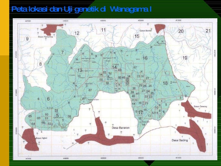 Success story Wanagama, Indonesia