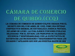 Cámara de comercio de Quibdó.(ccq)La cámara de comercio de quibdo-ccq,fue creada por el decreto 662 del 8 de abril de 1935, como una entidad corporativa gremial de naturaleza jurídica privada, sin animo de lucro ; la cual ejerce funciones publicas delegadas  por el estado, los principios de celeridad, eficiencia y responsabilidad; con la expectativa de satisfacer las necesidades y requerimientos para los usuarios y afiliados que son las nuestra razón de ser.