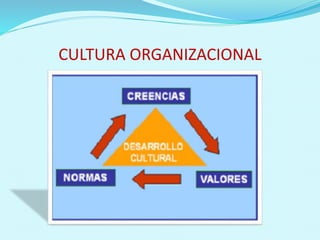 CULTURA ORGANIZACIONAL
 