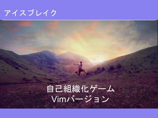 アイスブレイク
自己組織化ゲーム
Vimバージョン
 