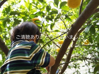 Operation Oriented Web Applications / Yokohama pm7