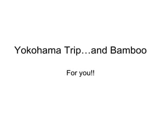Yokohama Trip…and Bamboo For you!! 