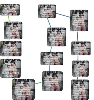 ¿Cómo hace tu 
cerebro para 
ordenar la 
información? 
El cerebro pone 
en practica con 
la selección por 
los 
pensamientos y 
temas debes 
poner atención 
Tu memoria 
desecha 
información y n 
abre mas ventanas 
Ese tipo de 
procesos es 
muy 
importante 
para el cerebro 
humano 
El ser humano y el 
cerebro humano 
procesa la información 
que nos da idea de 
acerca de cómo puede 
regular la cantidad de 
información 
Analiza las formas de 
comunicación 
antigua: pintura 
rupestres y 
condiciones 
prehispánica 
Cada vez que aparase 
un estimulo o imagen 
, sabor, color, olor . 
Lo detecta tu cerebro 
como si hubiera una 
ventana de 
información 
Tu cerebro pone en 
practica la tención 
selectiva es decir el 
proceso de 
pensamiento 
El ser humano procesa 
tu información y nos da 
ideas de cómo puedes 
auto regular la 
información 
La información del 
tema del papel 
proporciona al ser 
humano una 
superficie mas 
accesible para la 
escritura 
El ser humano ha 
creado de la 
comunicación cosa 
cada vez mejores 
Los sistemas 
informáticos 
se han 
convertido en 
una metáfora 
del ser 
humano 
La imprenta fue la 
primera maquina 
que se produjo 
atraves de una 
acabado de letras 
para fumar 
palabras oraciones 
de inteligencia 
 