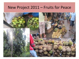 New Project 2011 – Fruits for Peace
5 39
 