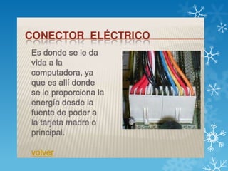 Yolanda puerto board