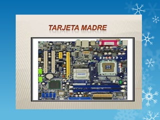 Yolanda puerto board