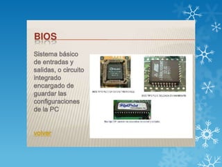 Yolanda puerto board