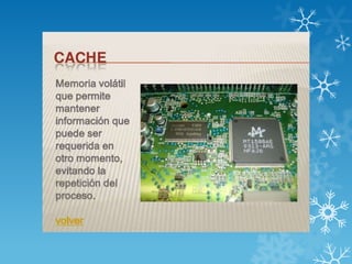 Yolanda puerto board