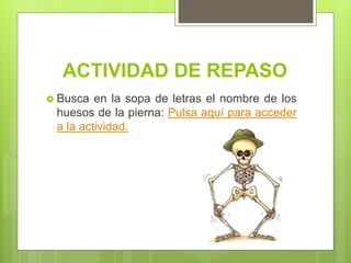 ACTIVIDAD DE REPASO
 Busca en la sopa de letras el nombre de los
huesos de la pierna: Pulsa aquí para acceder
a la actividad.
 