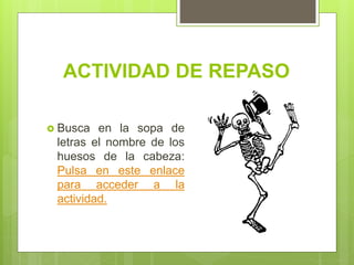 ACTIVIDAD DE REPASO
 Busca en la sopa de
letras el nombre de los
huesos de la cabeza:
Pulsa en este enlace
para acceder a la
actividad.
 