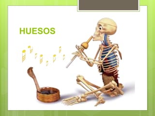 HUESOS
 