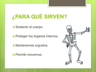 ¿PARA QUÉ SIRVEN?
 Sostener el cuerpo.
 Proteger los órganos internos.
 Mantenernos erguidos.
 Permitir movernos.
 