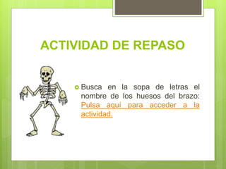 ACTIVIDAD DE REPASO
 Busca en la sopa de letras el
nombre de los huesos del brazo:
Pulsa aquí para acceder a la
actividad.
 