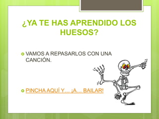 ¿YA TE HAS APRENDIDO LOS
HUESOS?
VAMOS A REPASARLOS CON UNA
CANCIÓN.
PINCHA AQUÍ Y… ¡A… BAILAR!