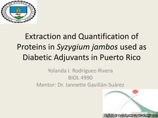 Extraction and Quantification of
Proteins in Syzygium jambos used as
Diabetic Adjuvants in Puerto Rico
Yolanda I. Rodríguez-Rivera
BIOL 4990
Mentor: Dr. Jannette Gavillán-Suárez
 