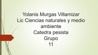 Yolanis Murgas Villamizar 
Lic Ciencias naturales y medio 
ambiente 
Catedra pesista 
Grupo 
11 
 