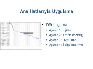 Ana Hatlarıyla Uygulama

          Dört aşama:
            Aşama 1: Eğitim
            Aşama 2: Teşhis hazırlığı
            Aşama 3: Uygulama
            Aşama 4: Belgelendirme
 