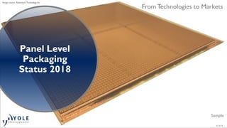 © 2018
From Technologies to Markets
Sample
Panel Level
Packaging
Status 2018
Image source: Powertech Technology Inc
 