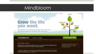 Mindbloom
 
