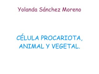 Yolanda Sánchez Moreno




CÉLULA PROCARIOTA,
 ANIMAL Y VEGETAL.
 