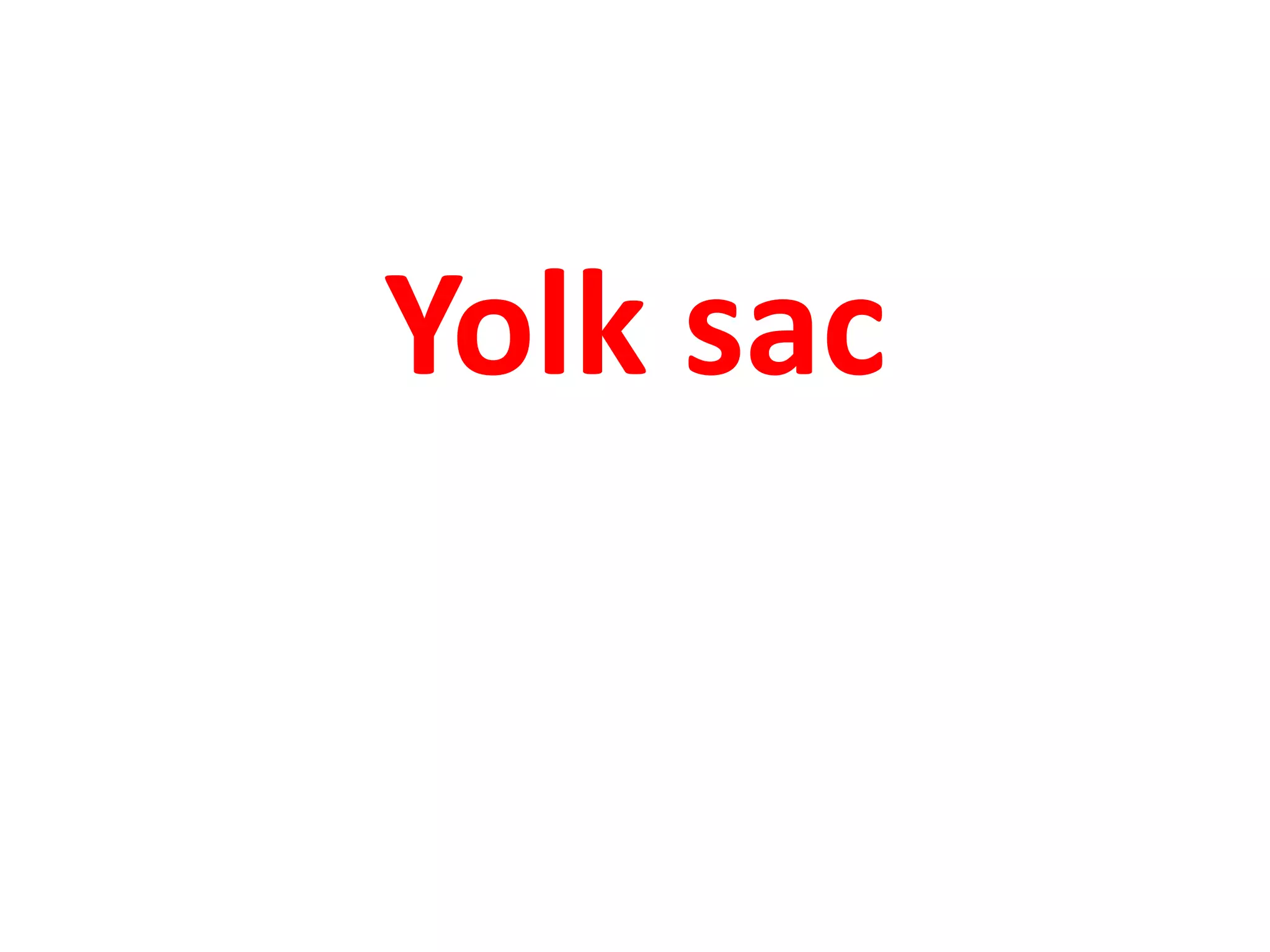 Yolk sac