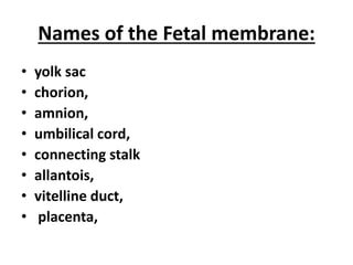 Names of the Fetal membrane:
• yolk sac
• chorion,
• amnion,
• umbilical cord,
• connecting stalk
• allantois,
• vitelline duct,
• placenta,
 
