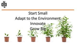Start Small
Adapt to the Environment
Innovate
Grow Big
 