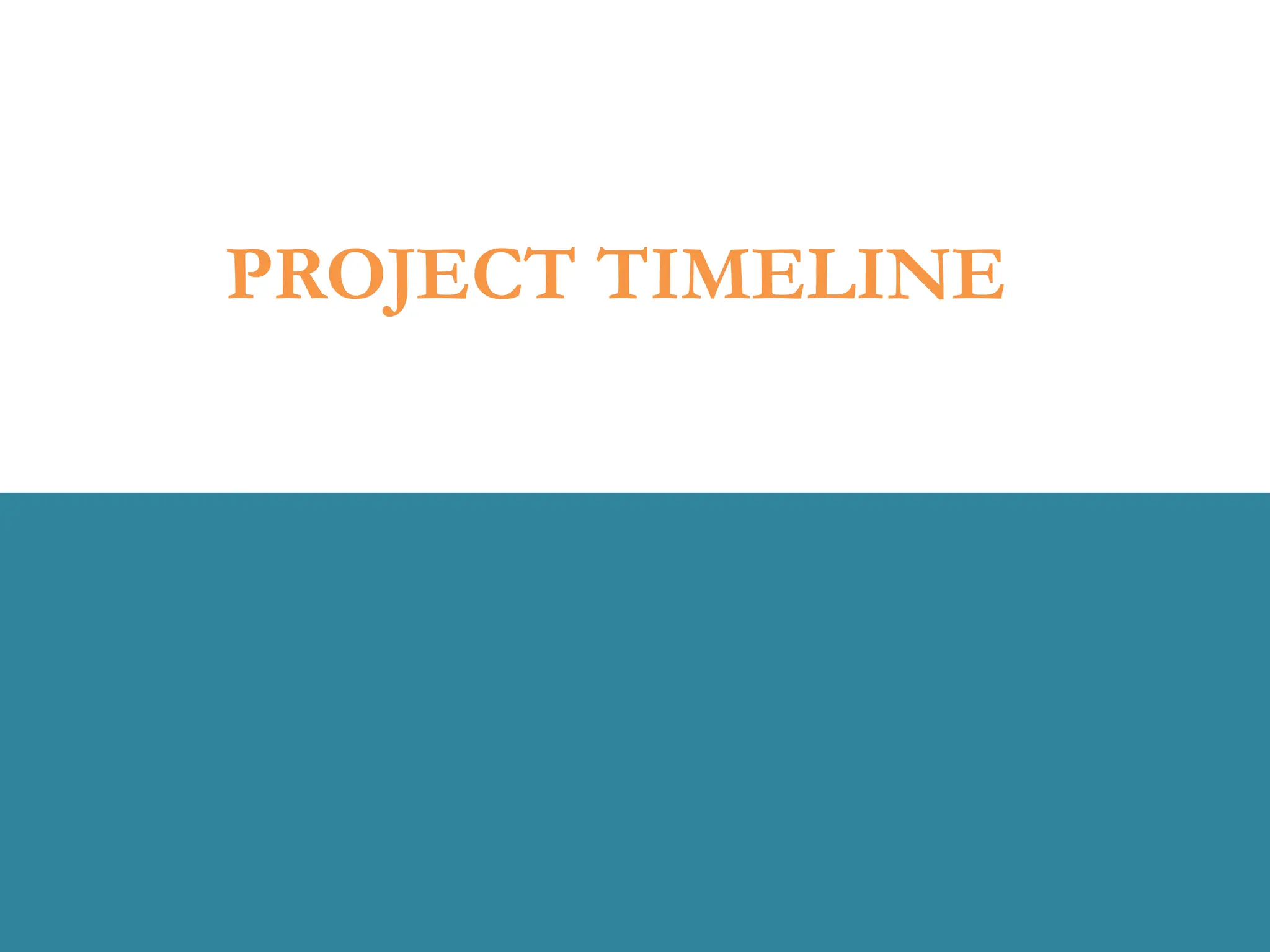 PROJECT TIMELINE
 
