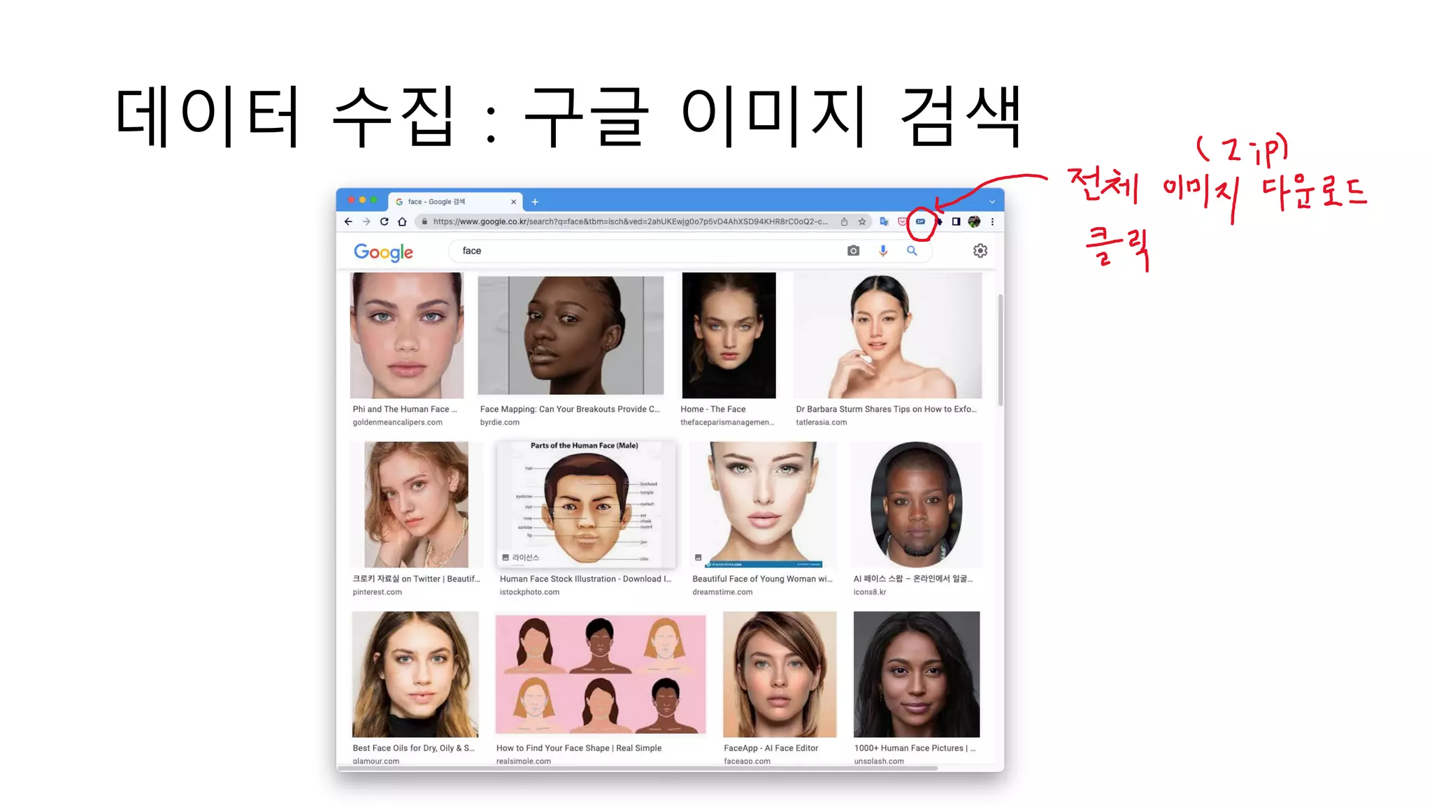 데이터 수집 : 구글 이미지 검색
 