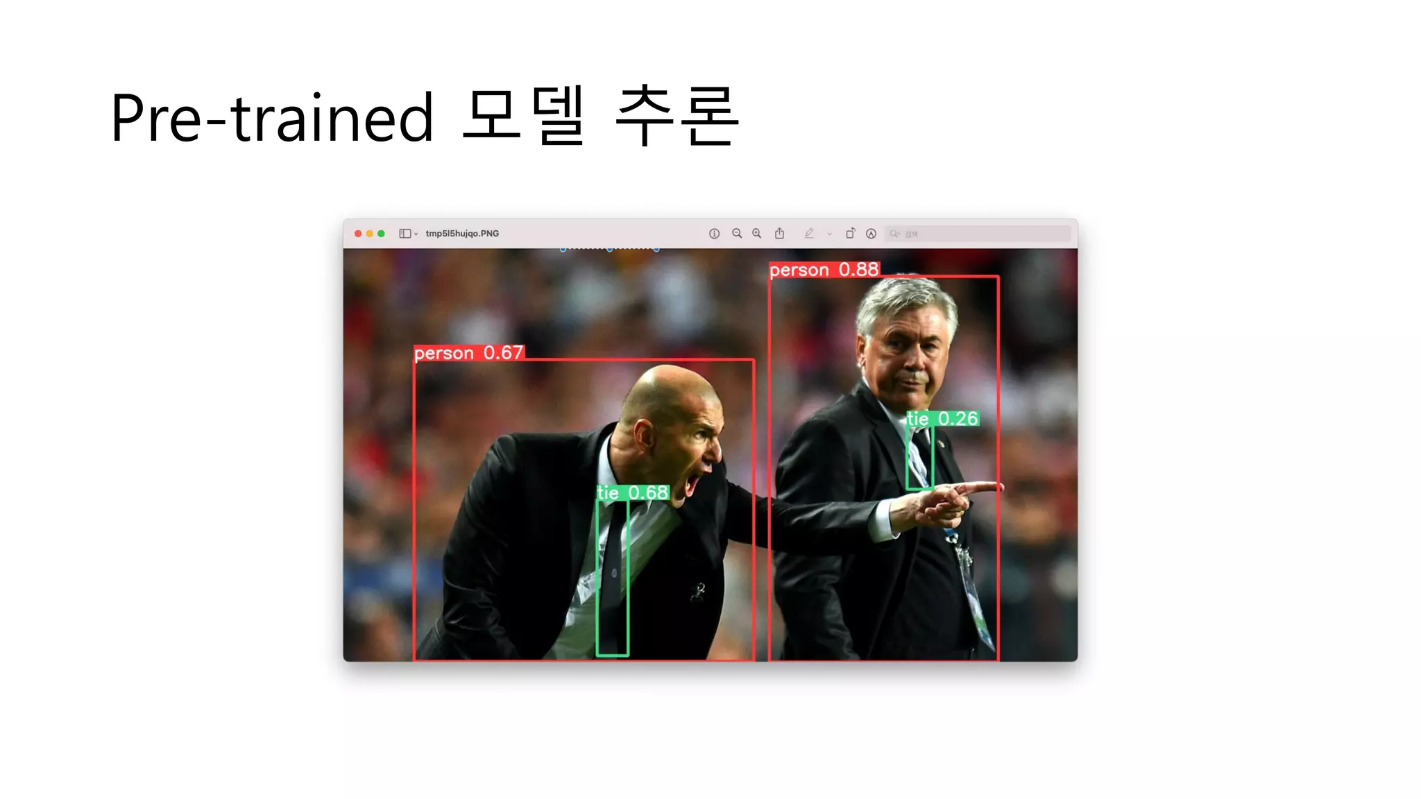 Pre-trained 모델 추론
 