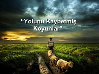“ Yolunu Kaybetmiş Koyunlar”  