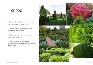 10 из 64ВЫСШАЯ ШКОЛА БРЕНДИНГА
СПРОС
• Высокий спрос на взрослые
крупномерные растения
• Зимне-декоративные виды:
хвойные и ягодные
• В тренде естественность,
а не вычурность
• Популярность растений с
формированной кроной, живые
изгороди
 