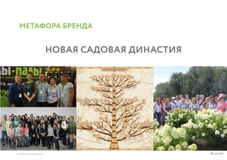 36 из 64ВЫСШАЯ ШКОЛА БРЕНДИНГА
МЕТАФОРА БРЕНДА
НОВАЯ САДОВАЯ ДИНАСТИЯ
 