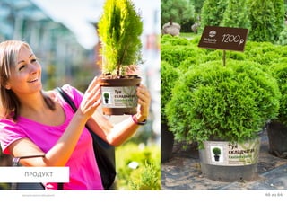 46 из 64ВЫСШАЯ ШКОЛА БРЕНДИНГА
ПРОДУКТ
 