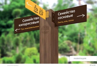 49 из 64ВЫСШАЯ ШКОЛА БРЕНДИНГА
НАВИГАЦИЯ
 