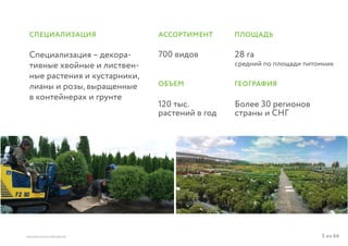 5 из 64ВЫСШАЯ ШКОЛА БРЕНДИНГА
Специализация – декора-
тивные хвойные и листвен-
ные растения и кустарники,
лианы и розы, выращенные
в контейнерах и грунте
700 видов
120 тыс.
растений в год
28 га
средний по площади питомник
Более 30 регионов
страны и СНГ
СПЕЦИАЛИЗАЦИЯ АССОРТИМЕНТ ПЛОЩАДЬ
ГЕОГРАФИЯОБЪЕМ
 